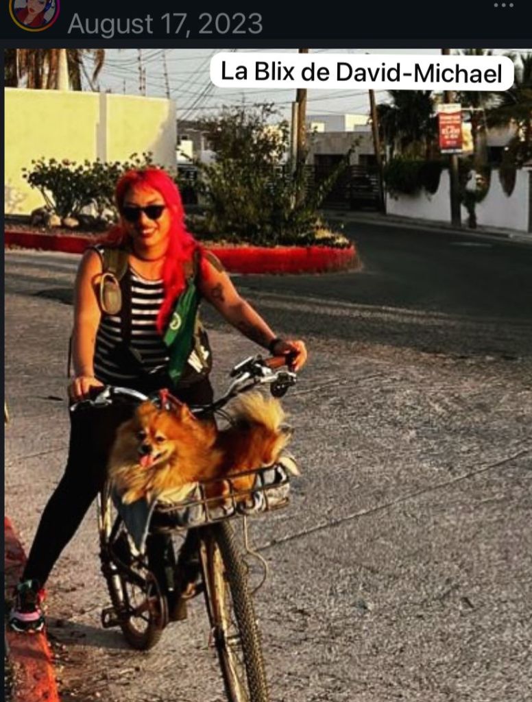 Una chica con cabello rojo andando en bici electrica con un perrito en la canasta en frente.